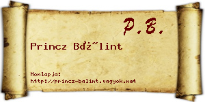 Princz Bálint névjegykártya